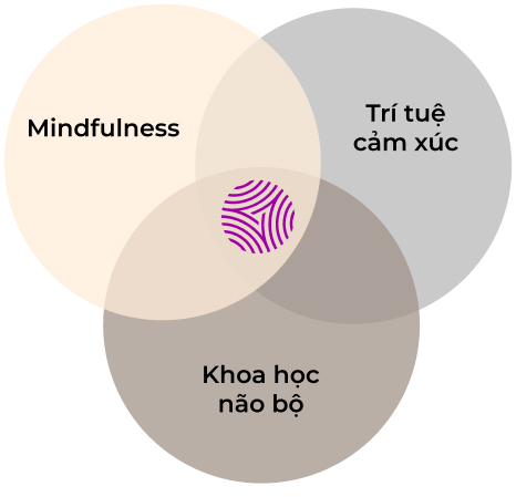 Mindful Leadership Vietnam - Search Inside Yourself